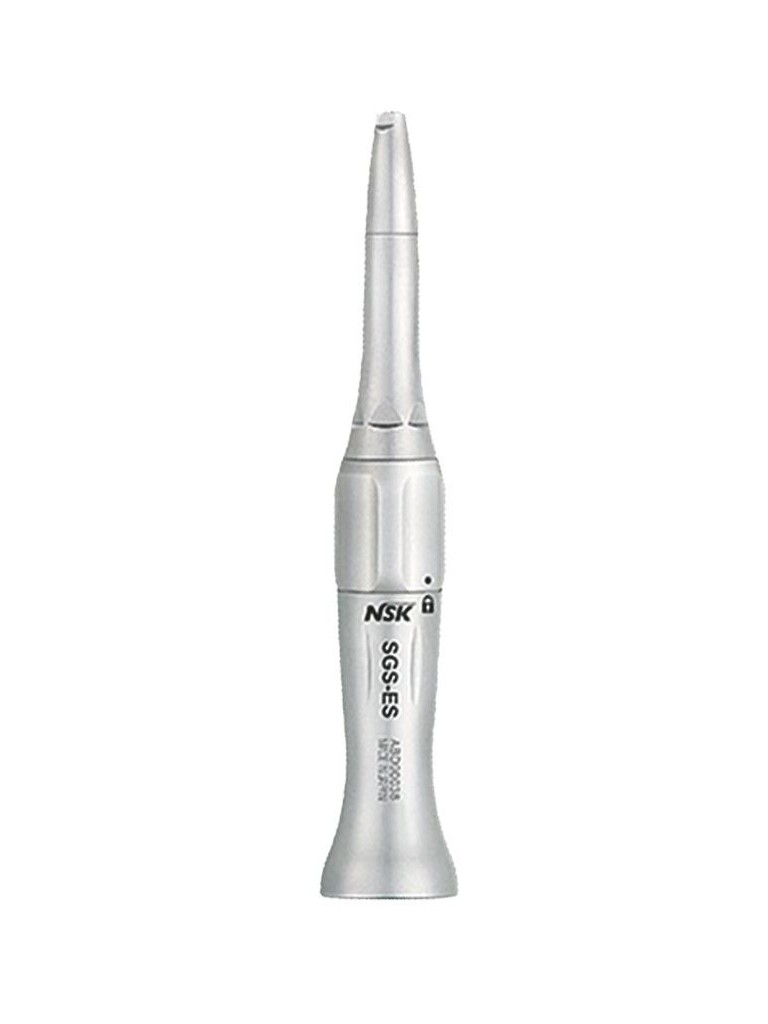 SGS-ES